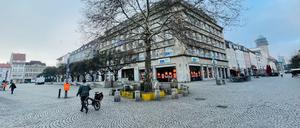 Die Platane ist ein Wahrzeichen der Altstadt Spandau.