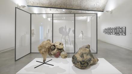 Die Verbildlichung einer Krebserkrankung: Ausstellungsansicht von Alina Szapocznikows „Tumeurs accumulées II“ von 1970 und „Grand tumeur II“ von 1969 im Ravensburger Museum.