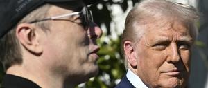 US-Präsident Donald Trump und Tesla-Chef Elon Musk sprechen mit Journalisten auf dem Südrasen des Weißen Hauses (Symbolbild).