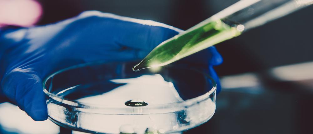 Berlins Universitäten wollen Produkte aus der grünen Chemie an den Markt bringen und haben dafür eine GmbH gegründet.