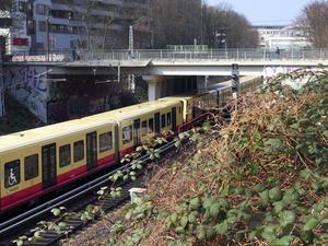 Die Pappelalleebrücke in Berlin-Prenzlauer Berg.