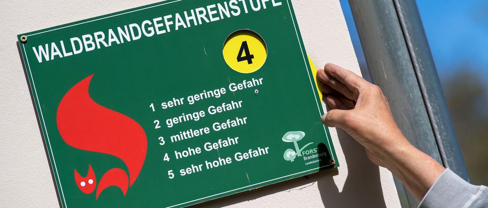 Die Waldbrandgefahr ist in Brandenburg in zwei Landkreisen als hoch eingestuft worden. (Symbolbild)