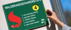 Die Waldbrandgefahr ist in Brandenburg in zwei Landkreisen als hoch eingestuft worden. (Symbolbild)