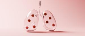 Lungenentzündungen werden meist durch Bakterien ausgelöst.