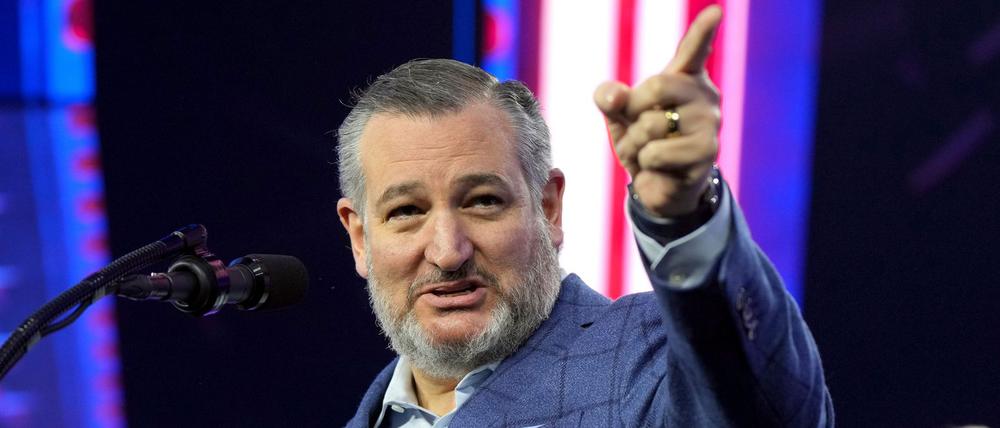 Cruz gehört eigentlich nicht zum Trump-kritischen Lager in der Partei. (Archivbild)