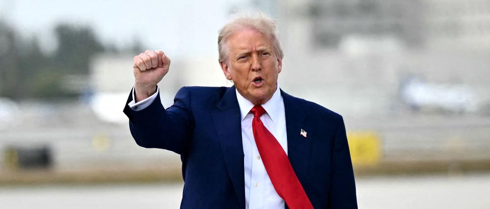 Donald Trump zeigt einer Siegergeste mit geballter Faust.
