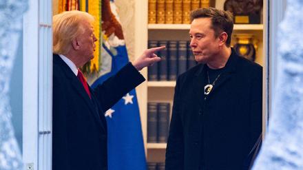 US-Präsident Donald Trump und Elon Musk sprechen im Weißen Haus (Symbolbild).