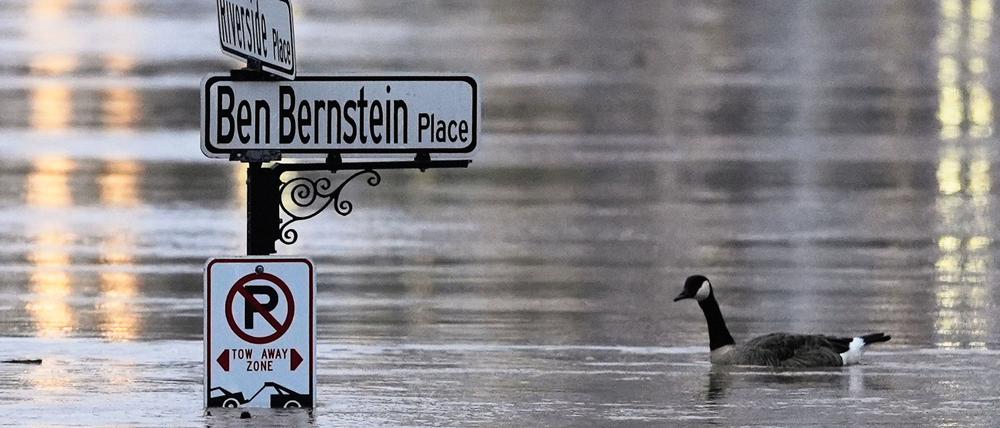Mehrere Bundesstaaten erleben rekordverdächtige Regenfälle.
