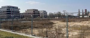 Hier sollten eigentlich schon Kita und Supermarkt stehen.