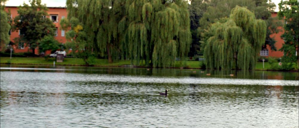 Berlin Reinickendorf. Sonntag Bezirksserie. Schaefersee Foto: Mike Wolff, TSP