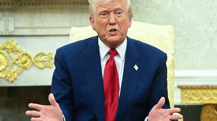 Donald Trump spricht bei einem Meeting mit dem Israelischen Premierminister Benjamin Netanyahu im Oval Office am 7. April.
