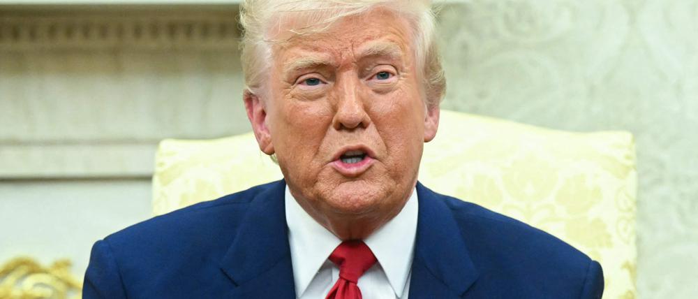 Donald Trump spricht bei einem Meeting mit dem Israelischen Premierminister Benjamin Netanyahu im Oval Office am 7. April.