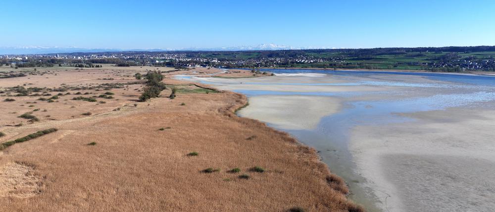 Der Wasserstand des Bodensees ist auf einem niedrigen Stand. Rund um die Insel Reichenau wird das deutlich, hier beim Wollmatinger Ried.