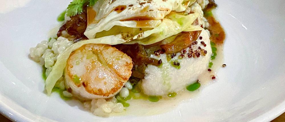 Gebratene Jakobsmuscheln mit Kohl, Pilzen, gerösteter Senfsaat und Perlcouscous in leichtem Gemüsesud mit Kräuteröl.