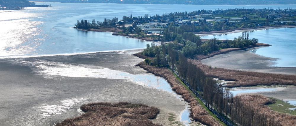 Insel Reichenau im Bodensee: Der Wasserstand des Gewässers ist auf einem niedrigen Stand.