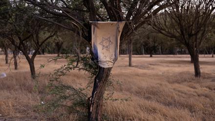 An einem Baum auf dem Gelände des Nova-Festivals hängt eine israelische Flagge. 