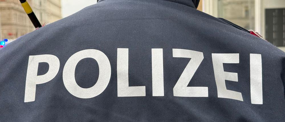 In Wien hat ein Vierjähriger einen Sturz aus dem fünften Stock mit Prellungen überlebt .