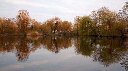 Der Potsdamer Aradosee wird zum Thema des Festivals Localize.