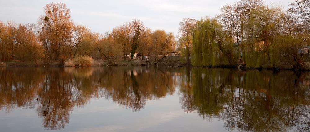 Der Potsdamer Aradosee wird zum Thema des Festivals Localize.