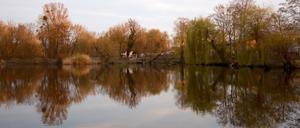 Der Potsdamer Aradosee wird zum Thema des Festivals Localize.