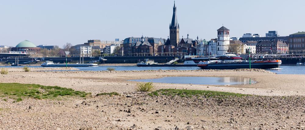 Auch in Düsseldorf ist das Niedrigwasser des Rheins nicht zu übersehen.