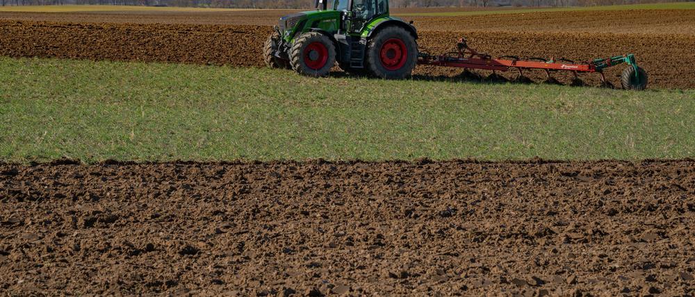 In Brandenburg sind die Böden besonders sandig und von Trockenheit geprägt: Landwirte wünschen sich in den kommenden Tagen vor allem Regen. (Archiv)