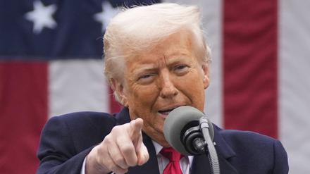 US-Präsident Donald Trump spricht im Rosengarten des Weißen Hauses. 