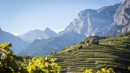 2014_Chamoson_11_@Valais-Wallis Promotion - Pascal Gertschen.jpg