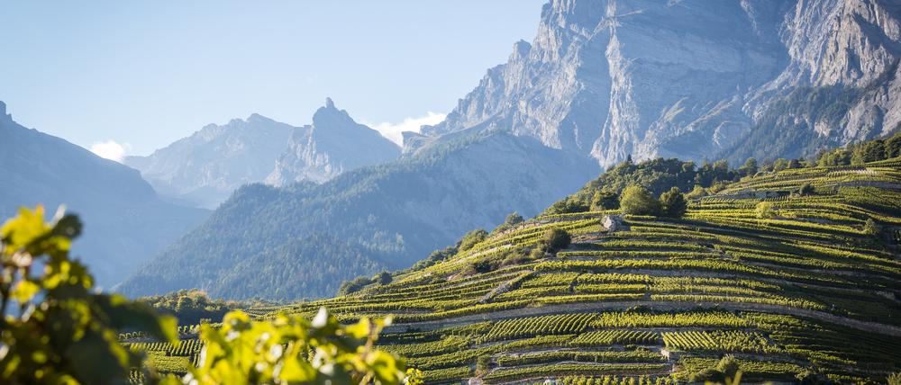 2014_Chamoson_11_@Valais-Wallis Promotion - Pascal Gertschen.jpg