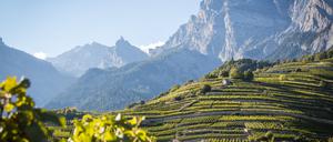 2014_Chamoson_11_@Valais-Wallis Promotion - Pascal Gertschen.jpg