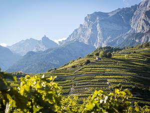 2014_Chamoson_11_@Valais-Wallis Promotion - Pascal Gertschen.jpg