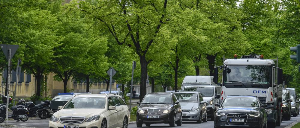 Die Bäume vor dem Flughafengebäude müssen größtenteils für die BVG-Baustelle weg.