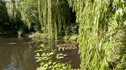 Der Kiezteich in Prenzlauer Berg.