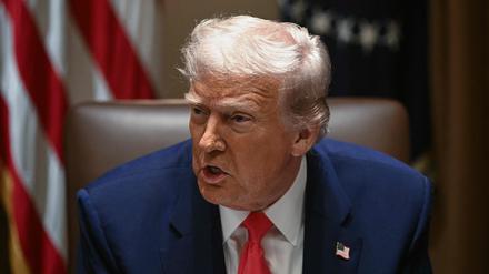 US-Präsident Donald Trump spricht während einer Kabinettssitzung