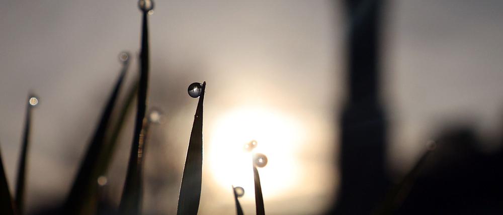 Ein letzter schöner Tag ist heute noch drin, bevor das Wetter etwas unbeständiger wird.