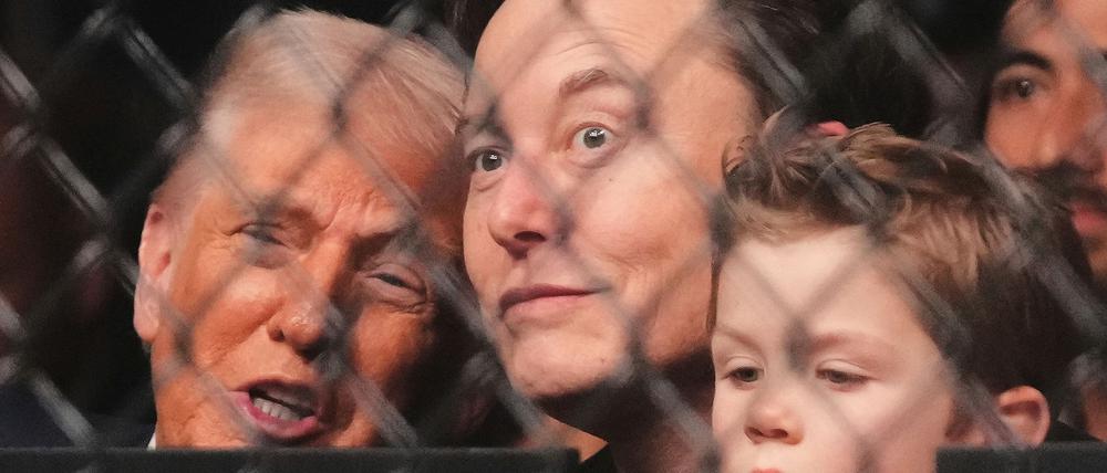 Trump, Musk mit 4 Jahre altem Sohn bei Kampfsport-Spektakel
