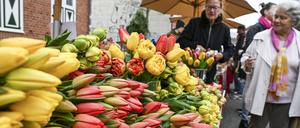 Bunte Tulpensträuße werden auf dem Potsdamer Tulpenfest im Holländischen Viertel verkauft.