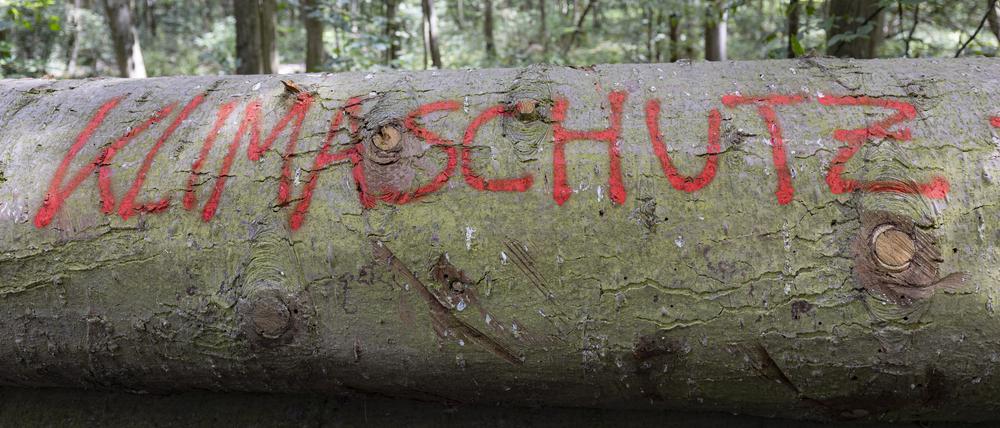 Umweltverbände fürchten Rückschritte beim Klimaschutz.