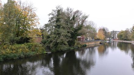 Potsdam, 04.11.2024, Lokales, Freundschaftsinsel, Wetter, Herbst, Herbstlaub, Symbolfoto, Genrebild, Foto: Ottmar Winter PNN ACHTUNG: Foto ist ausschließlich für redaktionelle Berichterstattung der PNN und des TGSP! Eine kommerzielle Nutzung, z.B. Werbung, ist ausgeschlossen. Die Weitergabe an nicht autorisierte Dritte, insbesondere eine weitergehende Vermarktung über Bilddatenbanken, ist unzulässig.