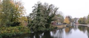 Potsdam, 04.11.2024, Lokales, Freundschaftsinsel, Wetter, Herbst, Herbstlaub, Symbolfoto, Genrebild, Foto: Ottmar Winter PNN ACHTUNG: Foto ist ausschließlich für redaktionelle Berichterstattung der PNN und des TGSP! Eine kommerzielle Nutzung, z.B. Werbung, ist ausgeschlossen. Die Weitergabe an nicht autorisierte Dritte, insbesondere eine weitergehende Vermarktung über Bilddatenbanken, ist unzulässig.