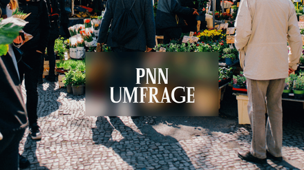 PNN Umfrage