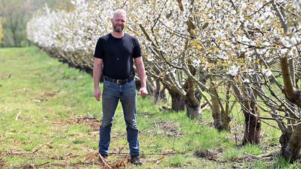Stephan Ohlemann, Hofbetreiber von Neumanns Erntegarten, steht in den Reihen seiner blühenden Obstbäume.
