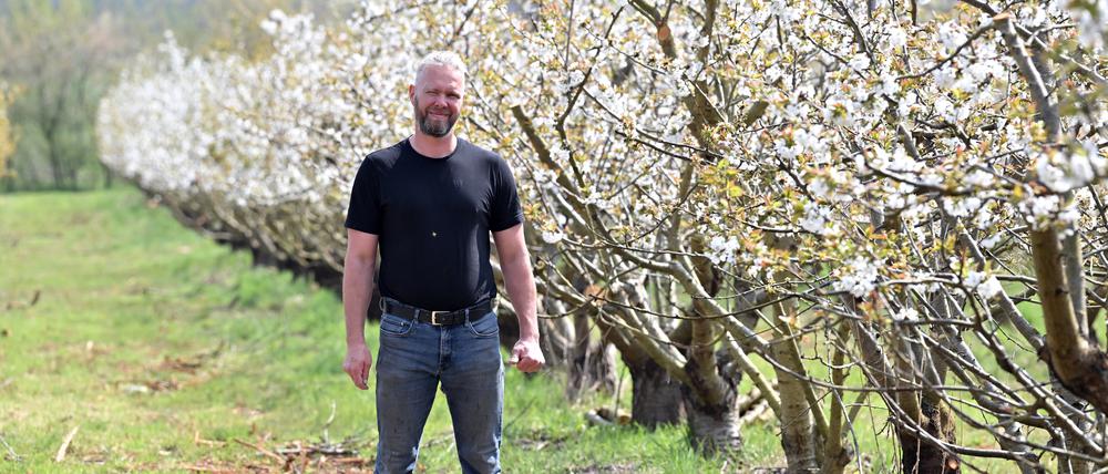 Stephan Ohlemann, Hofbetreiber von Neumanns Erntegarten, steht in den Reihen seiner blühenden Obstbäume.