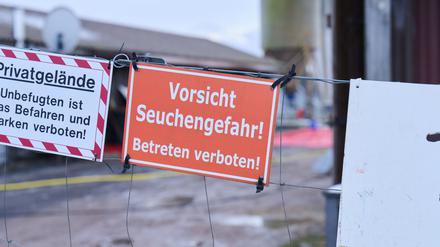 Nach dem Ausbruch der Maul- und Klauenseuche im brandenburgischen Hönow ist die Sperrzone mit Restriktionen für Landwirte aufgehoben (Archivbild).