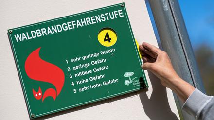 Die Waldbrandgefahr ist in der Hälfte der Landkreise in Brandenburg hoch bis sehr hoch. (Symbolbild)