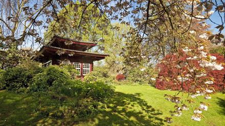 Ausflug in eine verwunschene Welt: Der japanische Garten in Leverkusen