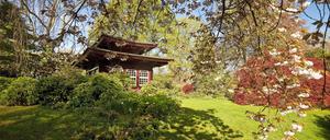 Ausflug in eine verwunschene Welt: Der japanische Garten in Leverkusen