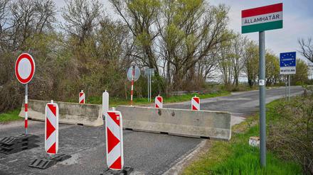 Der Ausbruch der Maul- und Klauenseuche in Ungarn und der Slowakei sorgt in Deutschland für Unsicherheit (Archivbild).