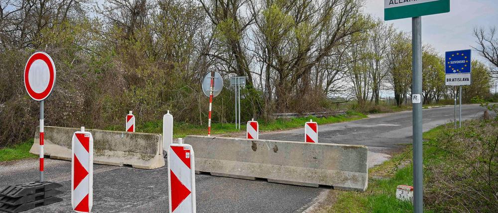 Der Ausbruch der Maul- und Klauenseuche in Ungarn und der Slowakei sorgt in Deutschland für Unsicherheit (Archivbild).