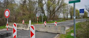 Der Ausbruch der Maul- und Klauenseuche in Ungarn und der Slowakei sorgt in Deutschland für Unsicherheit (Archivbild).